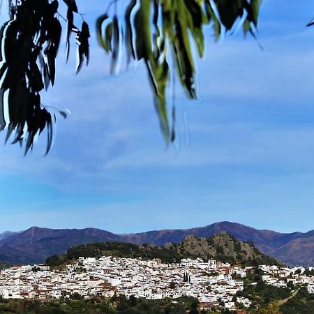 Casa Rural Sierras De Gaucin Apartman Kültér fotó