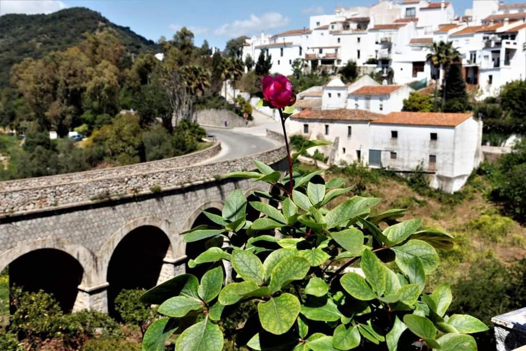 Casa Rural Sierras De Gaucín Kültér fotó