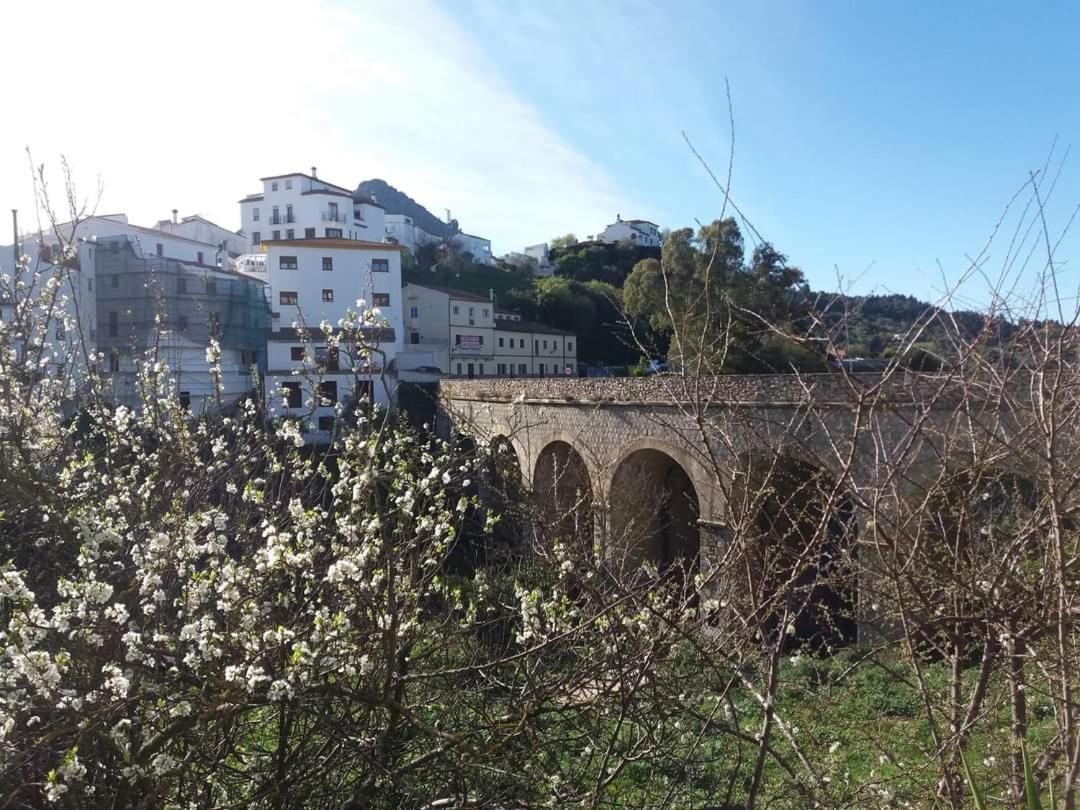 Casa Rural Sierras De Gaucin Apartman Kültér fotó