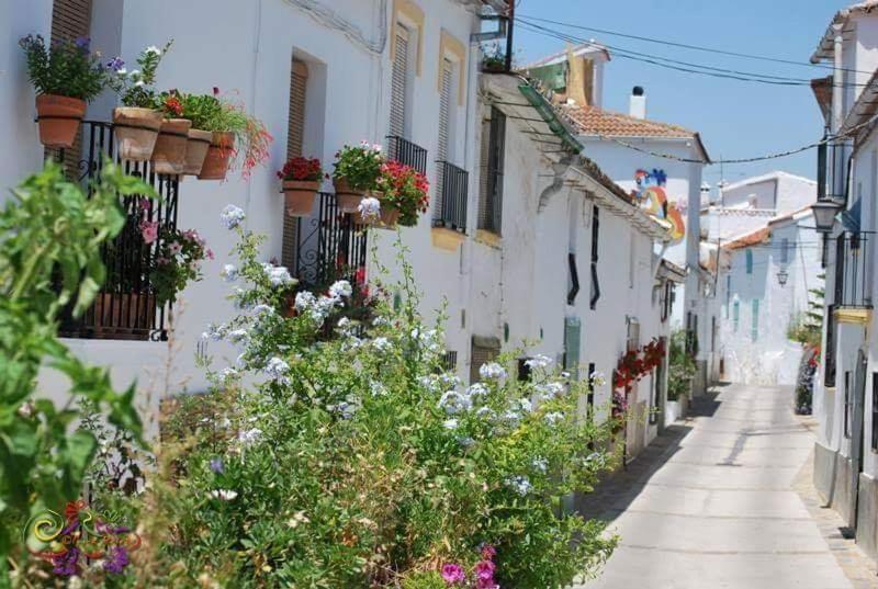 Casa Rural Sierras De Gaucin Apartman Kültér fotó